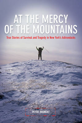 Book cover for At the Mercy of the Mountains