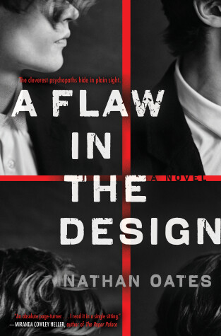 Book cover for A Flaw in the Design