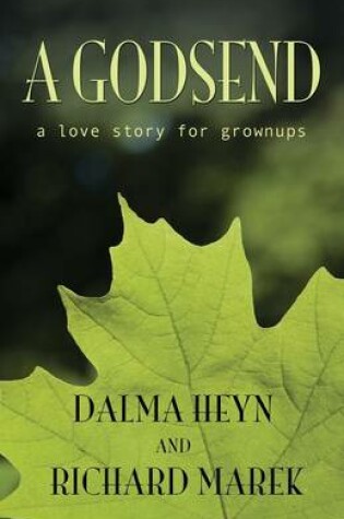 Cover of A Godsend