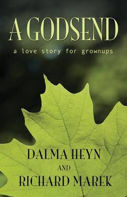 Book cover for A Godsend