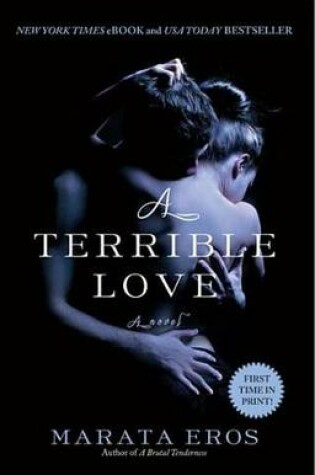 Cover of A Terrible Love