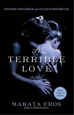 Book cover for A Terrible Love