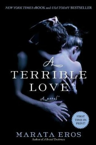 Cover of A Terrible Love