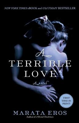 Book cover for A Terrible Love