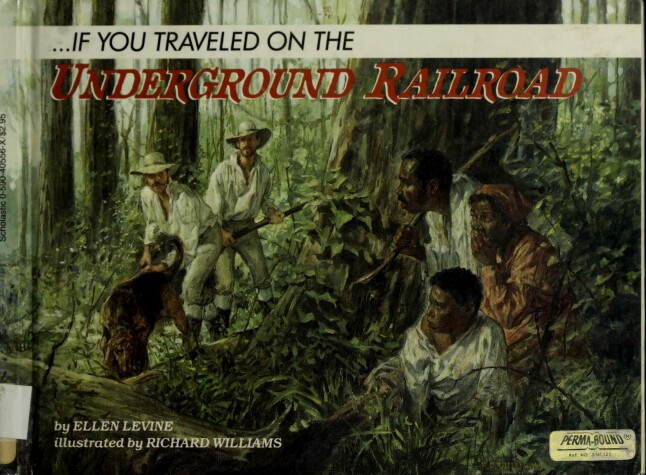 Book cover for If You Travelled on the Underground Railroad