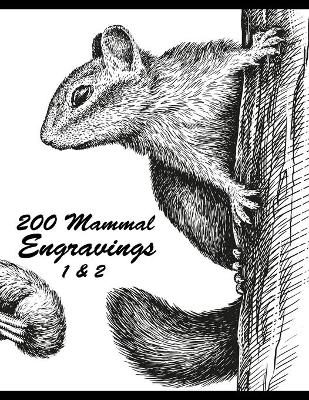 Book cover for 200 Mammal Engravings 1 & 2