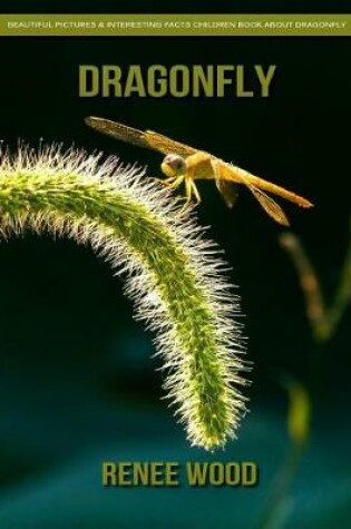 Cover of Dragonfly