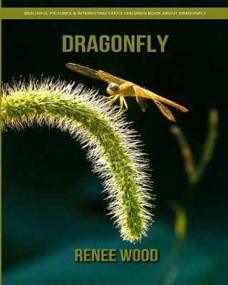 Book cover for Dragonfly