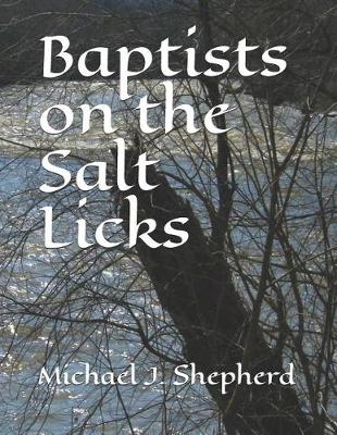 Book cover for Baptists on the Salt Licks