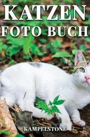 Cover of Katzen Foto Buch