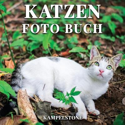 Book cover for Katzen Foto Buch