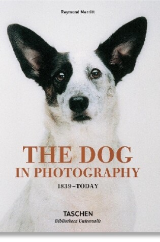 Cover of The Dog in Photography 1839–Today