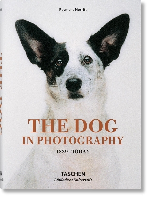 Cover of The Dog in Photography 1839–Today