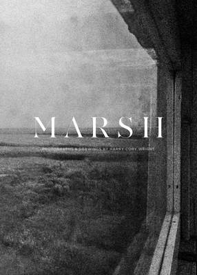 Book cover for Marsh
