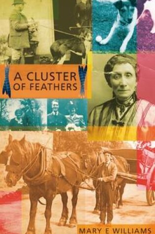 Cover of A Cluster of Feathers