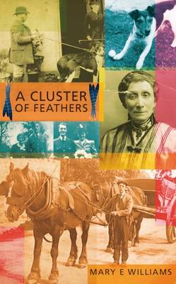 Book cover for A Cluster of Feathers