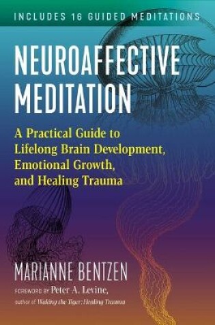 Cover of Neuroaffective Meditation