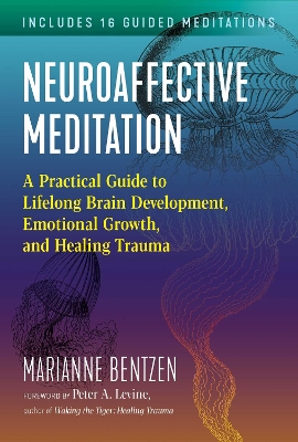 Book cover for Neuroaffective Meditation