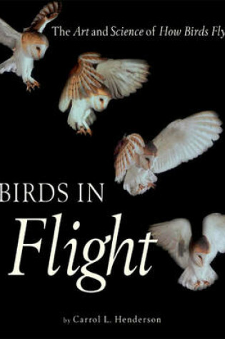 Cover of Birds in Flight