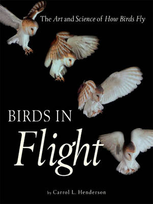 Book cover for Birds in Flight