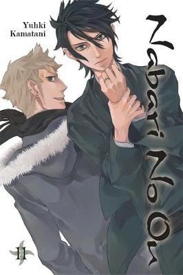 Book cover for Nabari No Ou, Vol. 11