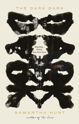 Book cover for The Dark Dark
