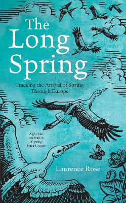 Book cover for The Long Spring