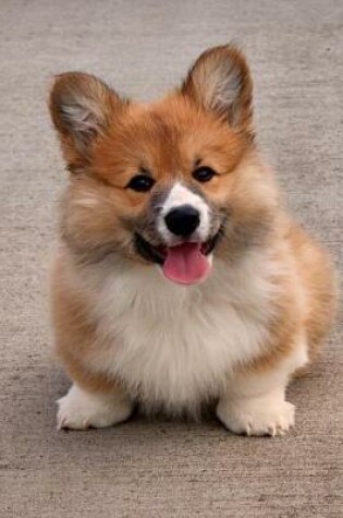Cover of A Corgi Puppy Dog Smiling Up at You Pet Journal