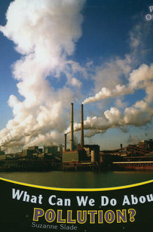 Cover of What Can We Do about Pollution?