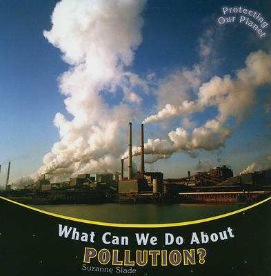 Cover of What Can We Do about Pollution?