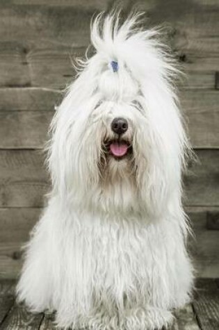 Cover of Coton de Tulear