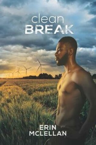 Cover of Clean Break