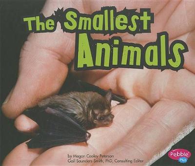 Book cover for The Smallest Animals