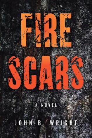 Cover of Fire Scars