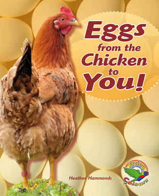 Book cover for Eggs from the Chicken to You!