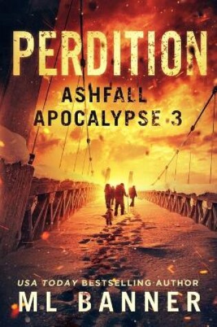 Cover of Perdition