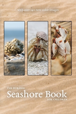 Book cover for The Burgess Seashore Book with new color images