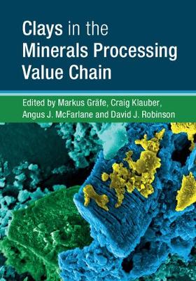 Cover of Clays in the Minerals Processing Value Chain