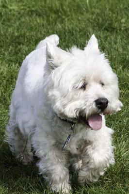 Book cover for Wonderful White Westie Puppy Dog Pet Journal