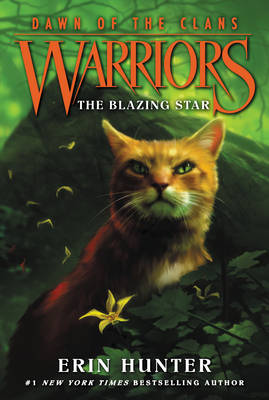 Book cover for The Blazing Star