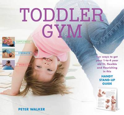 Book cover for Toddler Gym