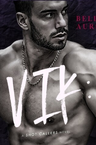Cover of Vik