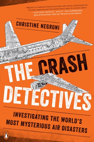 Cover of The Crash Detectives