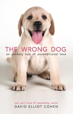 Book cover for The Wrong Dog