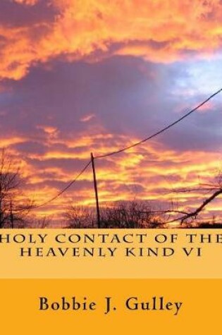 Cover of Holy Contact Of The Heavenly Kind VI