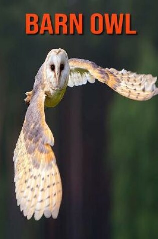 Cover of Barn owl