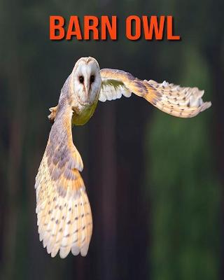 Book cover for Barn owl