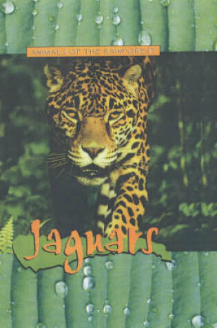 Cover of Jaguars