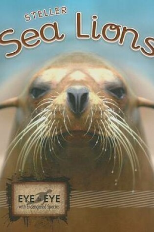 Cover of Steller Sea Lions