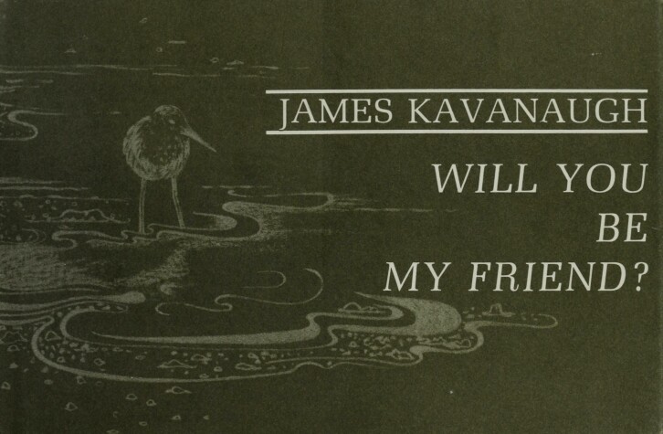 Book cover for Kavanaugh James : Will You be My Friend? (Hbk)